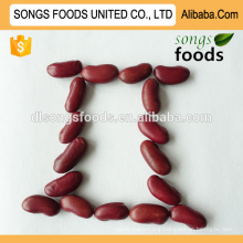 Long red wholes light kidney beans